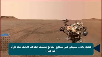 ظهور نادر.. سيلفي على سطح المريخ يكشف الكوكب الأحمر كما لم يُر من قبل